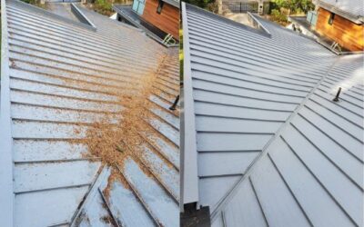 Metal Roof Cleaning in Victoria