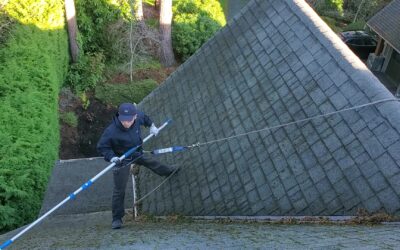 Roof Moss Removal in Victoria