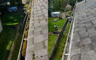 Gutter Cleaning in Victoria