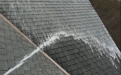 Moss Treatment Spray For Your Roof